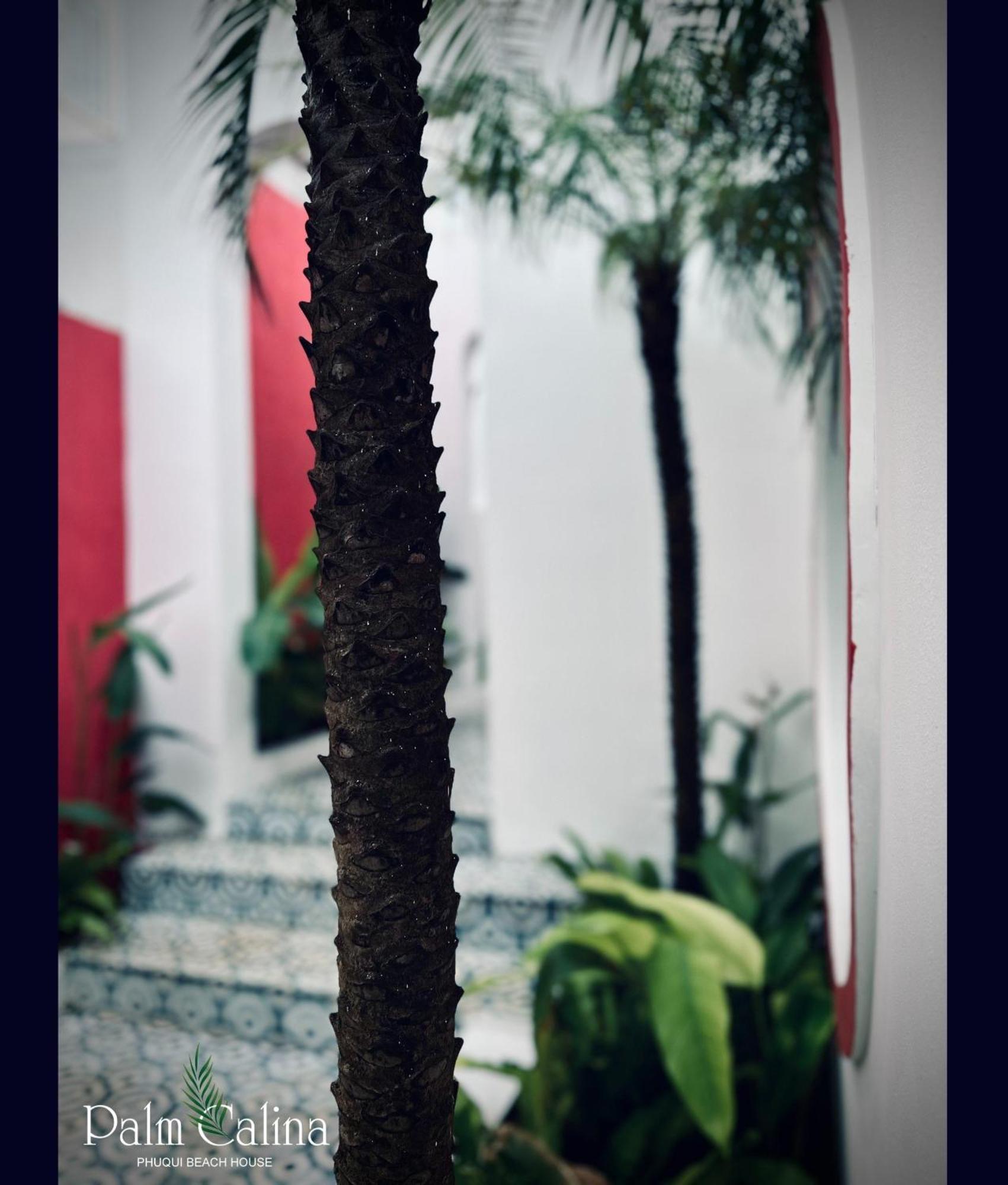 Palmcalina - Phuqui Beach House Cu Lao Thu Exteriör bild